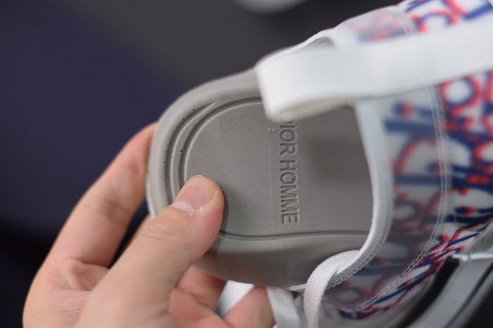 DR B23 OBLIQUE LOW TOP “CD Ghosting"