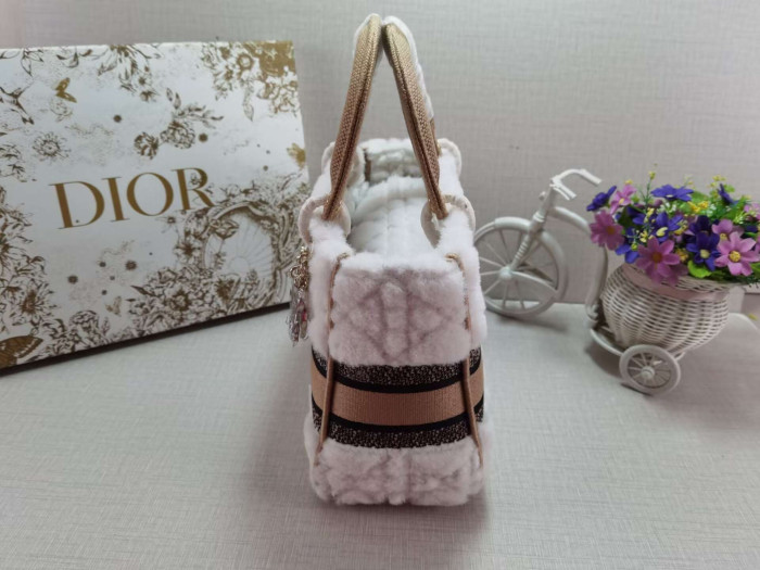 DIOR BAG